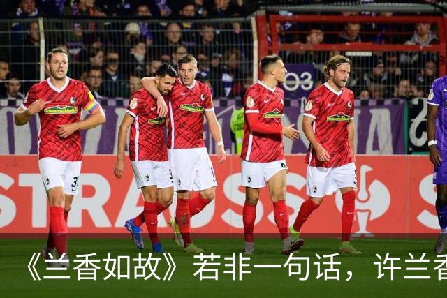 《兰香如故》若非一句话，许兰香始终不知，赵星棠为何痛恨林锦岐