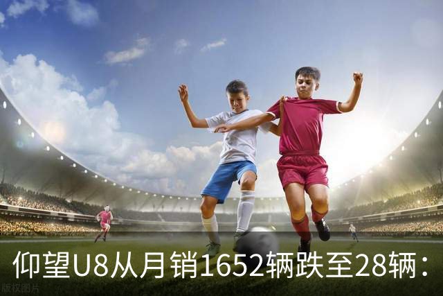 仰望U8从月销1652辆跌至28辆：技术堆满为何换不来百万市场？