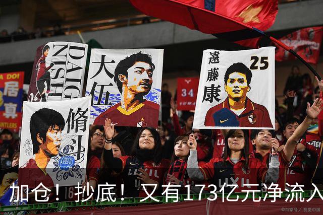 加仓！抄底！又有173亿元净流入