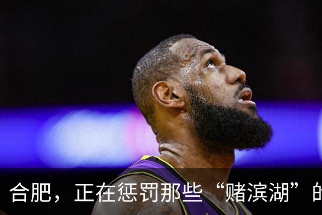 合肥，正在惩罚那些“赌滨湖”的人