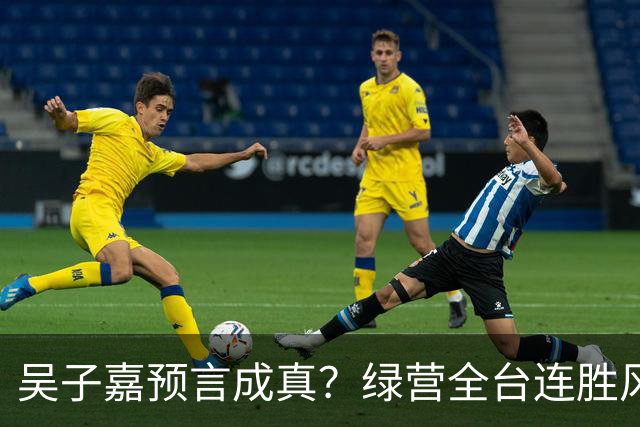 吴子嘉预言成真？绿营全台连胜风声起，蓝营候选人集体冒冷汗！