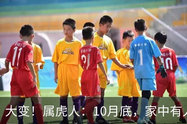 大变！属虎人：10月底，家中有人将卷入大事中，及时做好防备