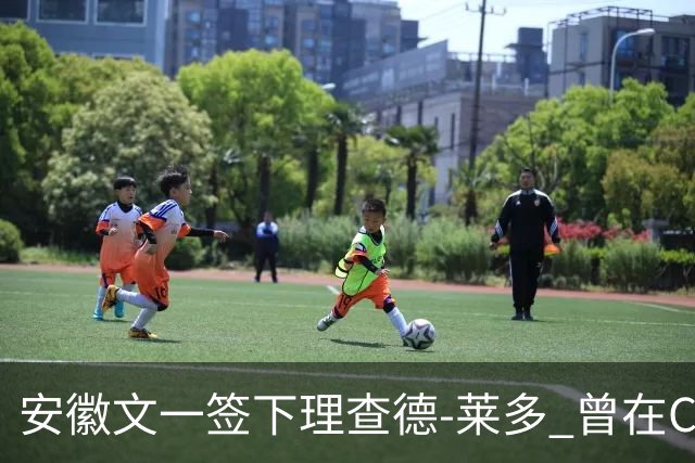 安徽文一签下理查德-莱多 曾在CBA单场砍54+15