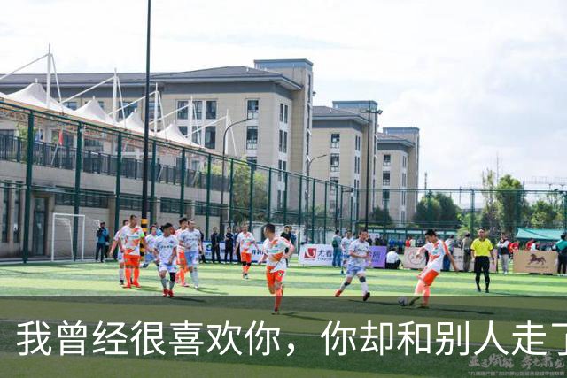 我曾经很喜欢你，你却和别人走了