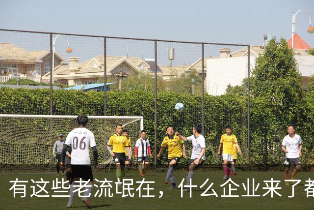 有这些老流氓在，什么企业来了都会“水土不服”...