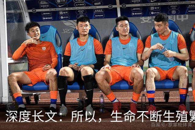深度长文：所以，生命不断生殖繁衍的意义，到底是什么？