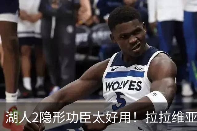 湖人2隐形功臣太好用！拉拉维亚统治篮板防守，范德彪可取代卢尼