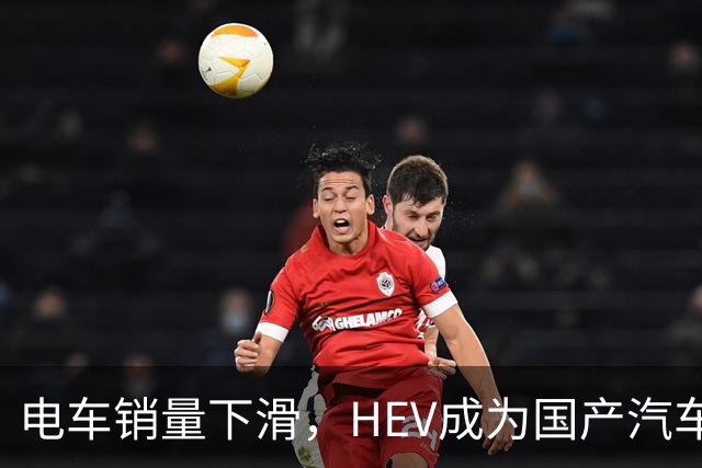 电车销量下滑，HEV成为国产汽车增长发动机，继续挑战丰田