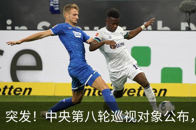 突发！中央第八轮巡视对象公布，32所高校将开始反腐风暴