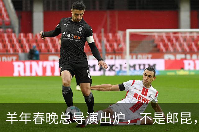 羊年春晚总导演出炉，不是郎昆，也不是哈文，而是刚收获好评的她