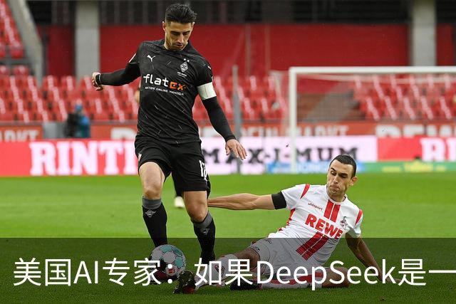 美国AI专家：如果DeepSeek是一家美国公司，那么会出现疯狂的一幕