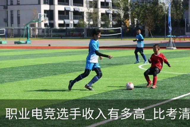 职业电竞选手收入有多高 比考清华北大还难