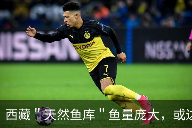西藏＂天然鱼库＂鱼量庞大，或达2亿公斤？为何人们不进行打捞？
