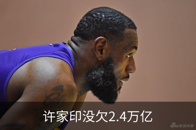 许家印没欠2.4万亿