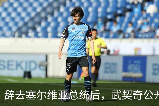 辞去塞尔维亚总统后，武契奇公开作出承诺：不会对俄罗斯实施制裁